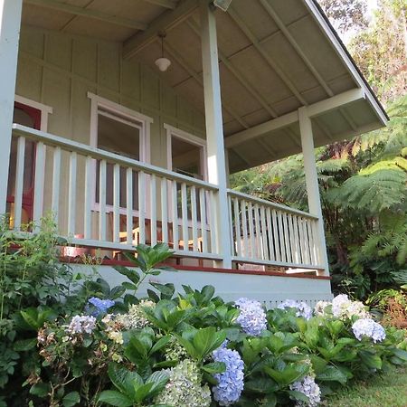 Carson'S Kaloko Mountain Cabin Каилуа-Кона Экстерьер фото