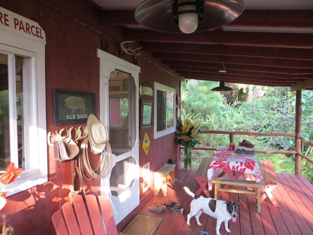 Carson'S Kaloko Mountain Cabin Каилуа-Кона Номер фото